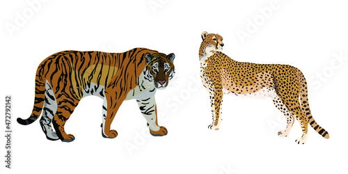 Tiger and cheetah vector pattern on white background 