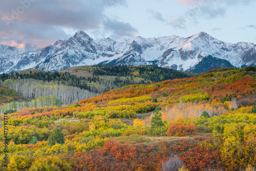 USA, Colorado. San Juan Mountains, Uncompahgre National Forest, Autumn colored oak and aspen beneath peaks of the Sneffels Range at dawn.