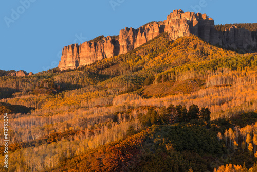 USA, Colorado. Uncompahgre National Forest, sunset on Cimarron Ridge and colorful aspen oak forest in autumn.