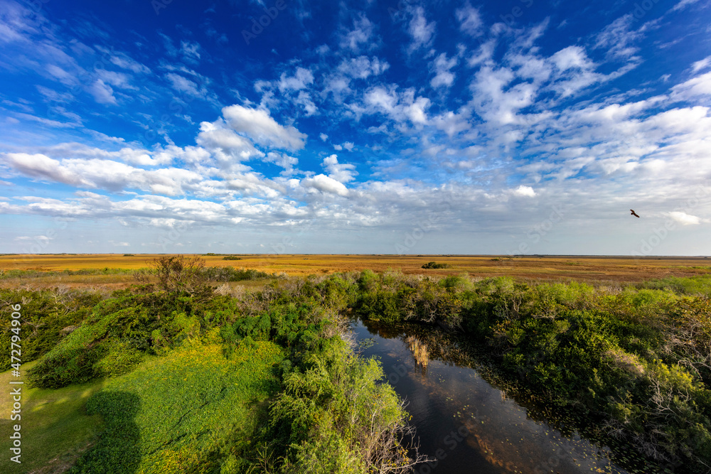 Obraz premium View of the vast wetland from Shark Valley Observation Tower in Everglades National Park, Florida, USA