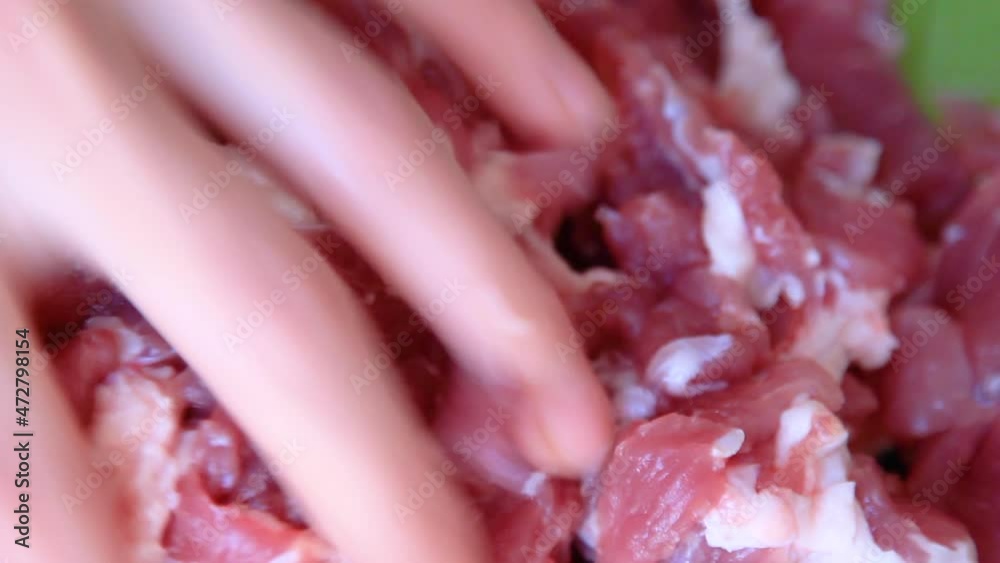 Close Up Traditional Korean Bulgogi Dish Close Up Traditional Korean Bulgogi Dish
