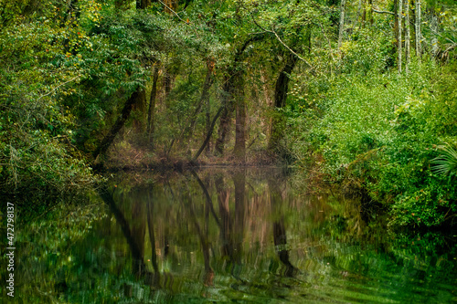 Picturesque landscape of Homosassa River with reflection of trees and native growth