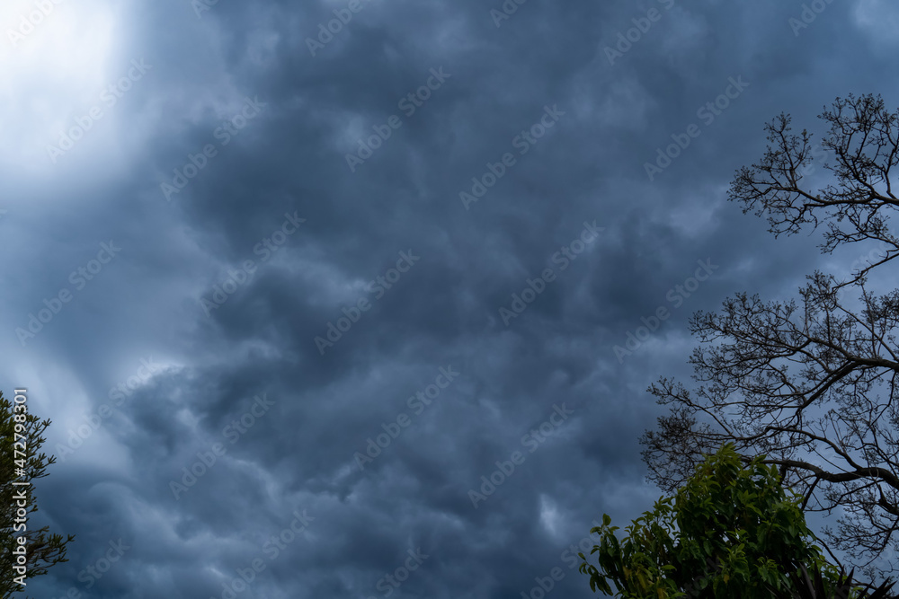 The storm is coming. Storm clouds above the tree. Heavy torrential rain. Rainfall flash flooding . Metorology weather forecast. Low pressure area. La Nina The storm is coming. Storm clouds above the tree. Heavy torrential rain. Rainfall flash flooding . Metorology weather forecast. Low pressure area. La Nina