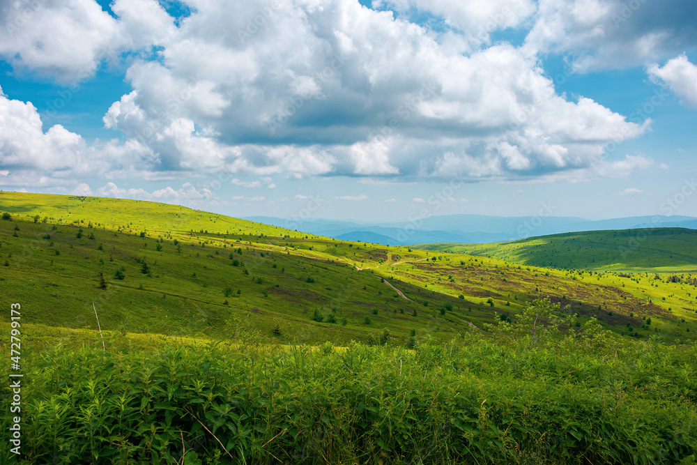 grassy alpine meadow on the edge of hill. beautiful summer landscape in mountains. clouds above the distant ridge. countryside tourism concept