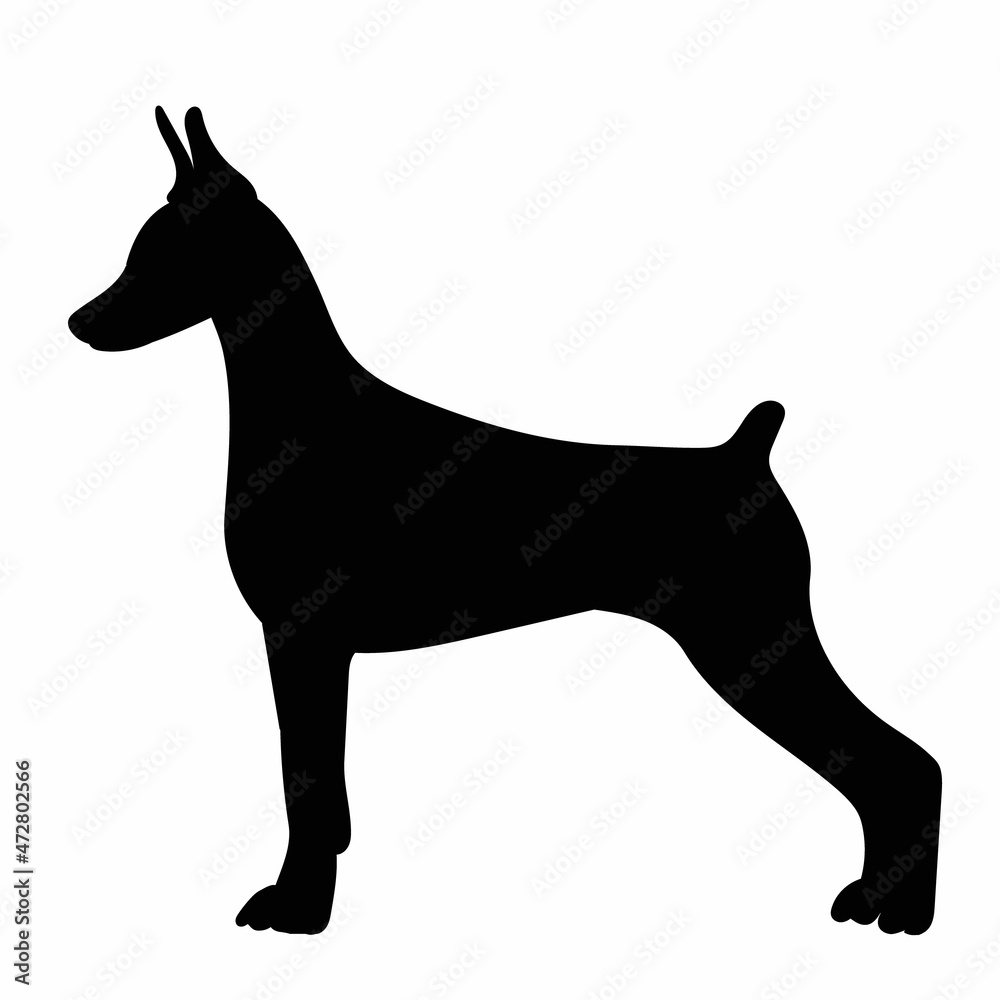 dog small black silhouette, isolated
