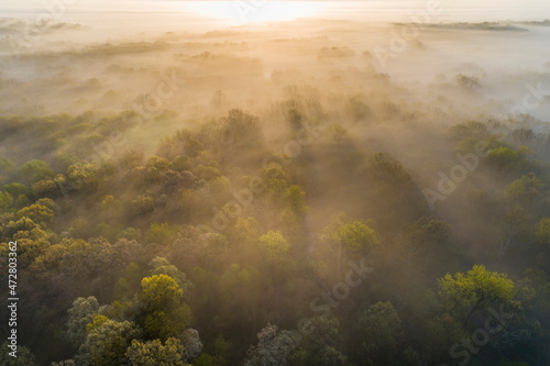 Aerial sunrise over forest covered with fog in spring Marion County, Illinois © Danita Delimont