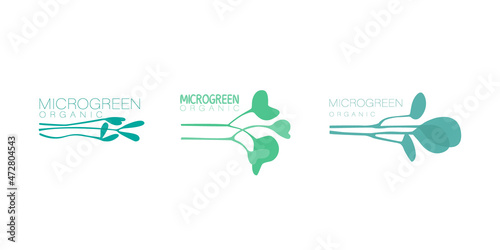 Set of floristic logos for microgreens, symbols of organic products. Mini plants for germination. Vector trendy flat illustrations for design.