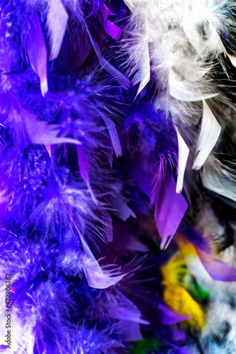 Colorful feathers on necklace, New Orleans, Louisiana. feathers worn at Mardi Gras.