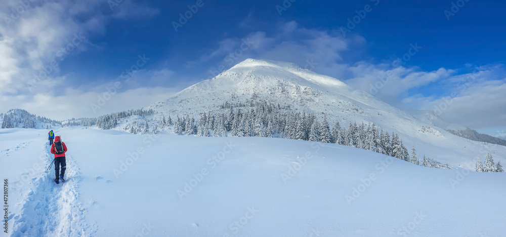 Panoramic landscape of a snowy forest in the mountains on a sunny winter day whis. Ukrainian Carpathians, near Mount Petros, there is group of tourists.