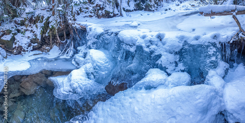 Frozen winter stream in a spruce forest, the vicinity of the Ukrainian Carpathians, near Mount Petros.