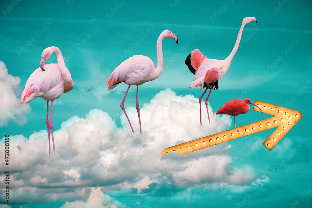 Obraz premium Giant pink flamingo birds on a cloud with directional arrow travelling to unknown destination