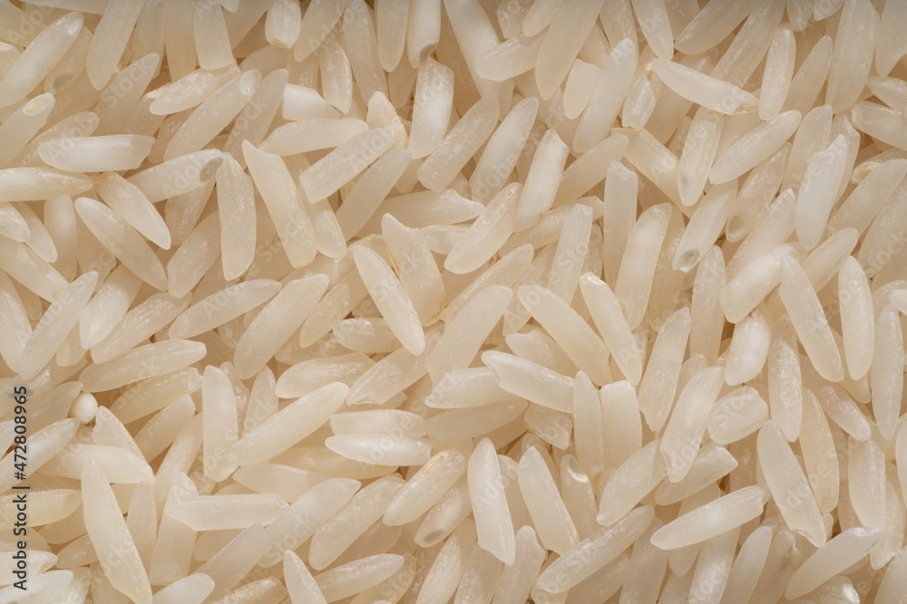 Detailed and large close up shot of basmati rice grain. Detailed and large close up shot of basmati rice grain.