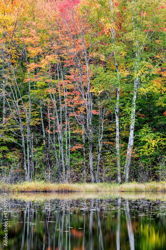 USA  Michigan  Upper Peninsula  Thornton Lake reflections