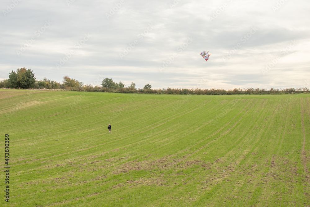 Obraz premium latawiec, tapeta, relax