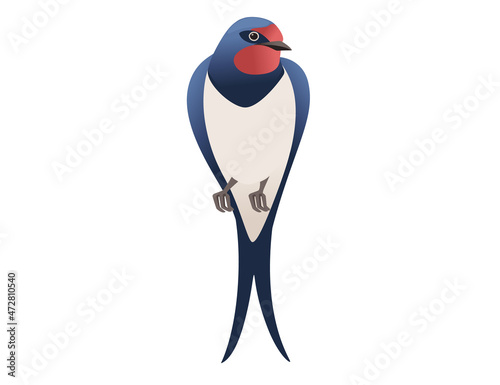 Cute swallow sitting on white background cartoon bird animal design