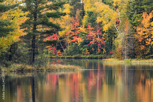 Fish Lake and fall colors along shoreline, Hiawatha National Forest, Upper Peninsula of Michigan. photo