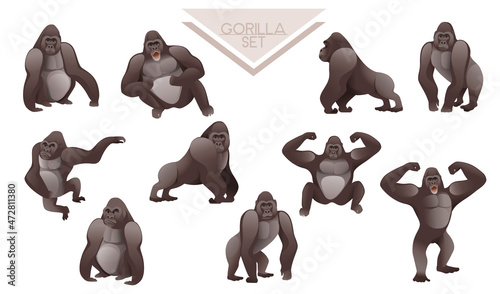 Collection of cute adult Gorilla big mammal cartoon animal design vector illustration