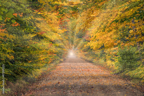 Light rays at end of road through Hiawatha National Forest, Upper Peninsula of Michigan