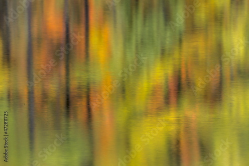 Abstract reflection of trees and autumn colors on small pond, Upper Peninsula of Michigan