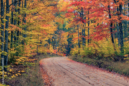 Road through Hiawatha National Forest and fall colors, Upper Peninsula of Michigan photo