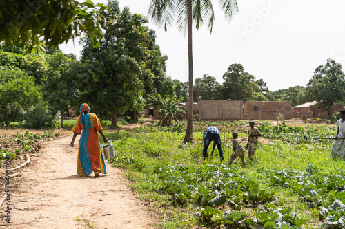 Back view of a black African women carrying a heavy water can to agroup of youngsters weeding a vegetable field photo