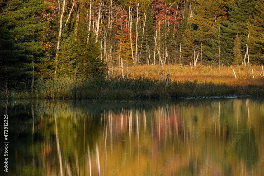 Autumn reflection of Birch trees and autumn colors on Red Jack Lake, Upper Peninsula, Michigan Autumn reflection of Birch trees and autumn colors on Red Jack Lake, Upper Peninsula, Michigan