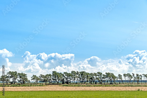 Landschaft mit Wiese und Bäumen in Zingst, Mecklenburg-Vorpommern, im Sommer mit Textfreiraum