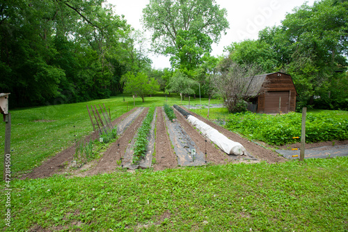 USA, Minnesota, Mendota Heights, Mohican Lane Vegetable Garden photo