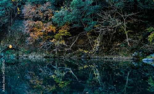 Autumn landscape beautiful colour trees over the river glowing in the sunlight. wonderful background. mountain reflection water in Japan. fresh and cold water