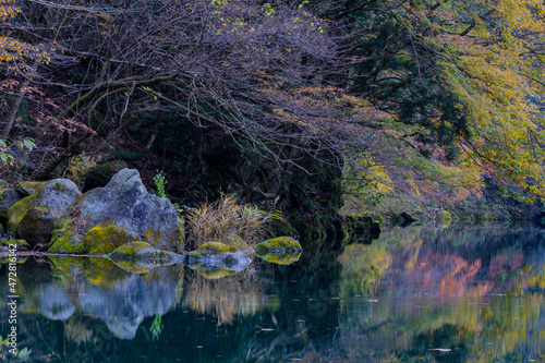 Fototapeta Naklejka Na Ścianę i Meble -  Autumn landscape beautiful colour trees over the river glowing in the sunlight. wonderful background. mountain reflection water in Japan