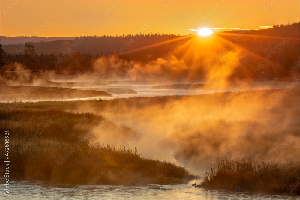 Steaming mist at sunrise, Madison River, Yellowstone National Park, Montana, USA
