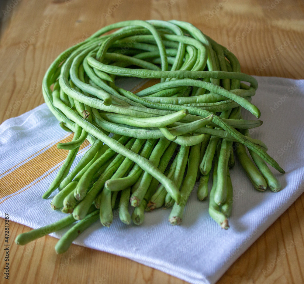 Freshly picked long beans rolled up on a kitchen towel. Freshly picked long beans rolled up on a kitchen towel.