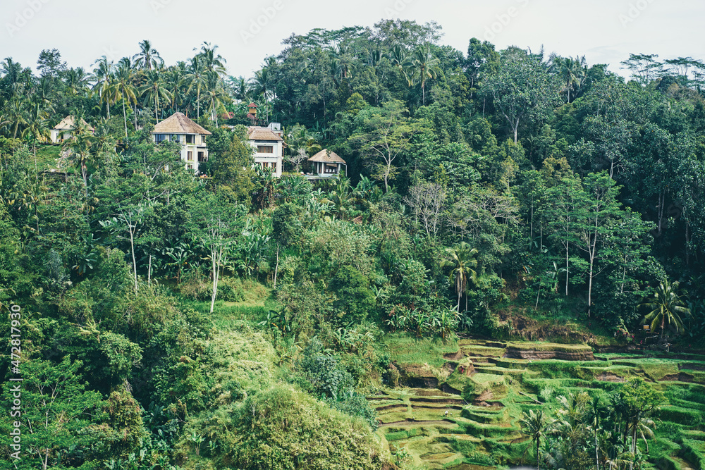 Travel by Bali. Beautiful landscape with green terraces, jungle and resort.