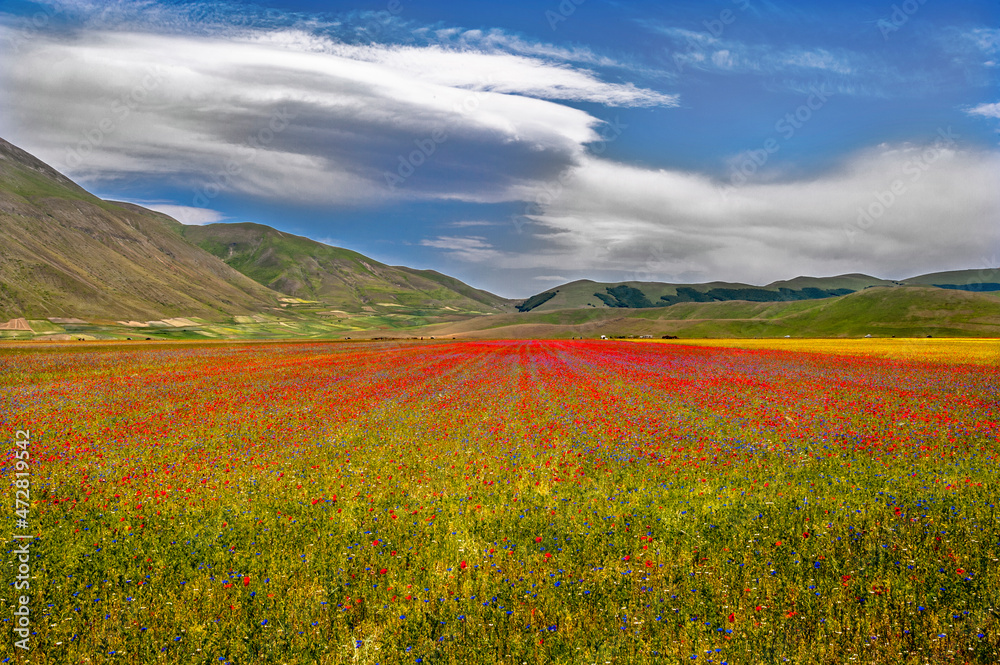 Primavera a Castelluccio di Norcia 