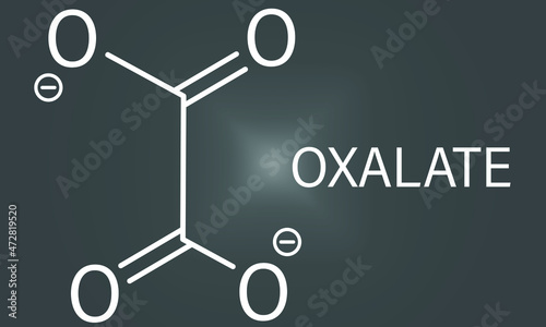 Oxalate anion, chemical structure. Oxalate salts can form kidney stones. Skeletal formula. photo