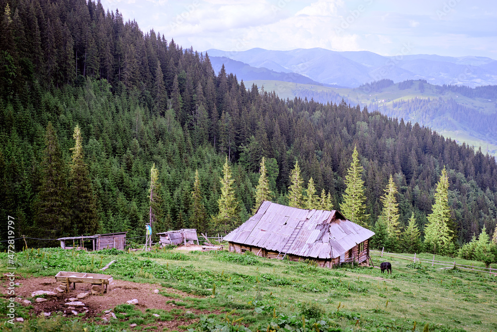 Beautiful summer mountains landscape with green pastureland view and old wooden house. Carpathians, Ukraine.
