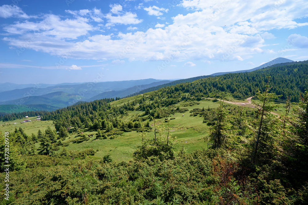 Beautiful mountains landscape with green meadow. Carpathians, Ukraine. Beautiful mountains landscape with green meadow. Carpathians, Ukraine.