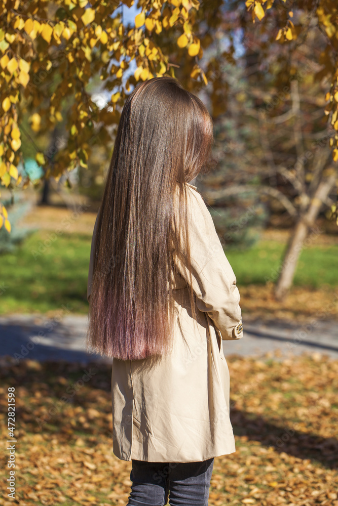 Back rear view brunette hair model Back rear view brunette hair model