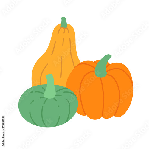 Three pumpkins. Group of different color pumpkins. Flat vector illustration isolated on white.
