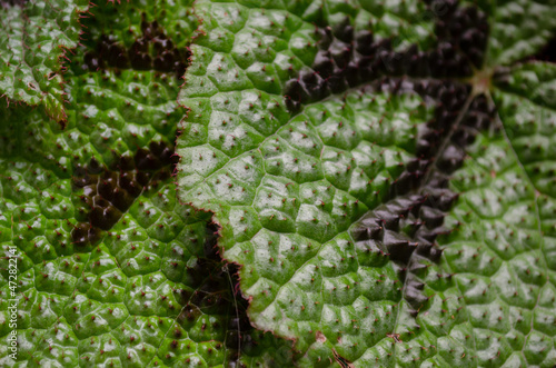 A spiky texture
