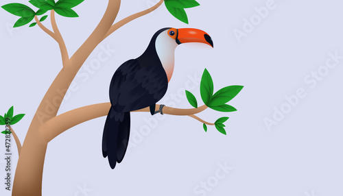 toucan in the tree illustration