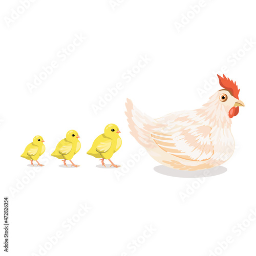 A white chicken and three yellow chickens .isolated on a white background.Vector illustration.