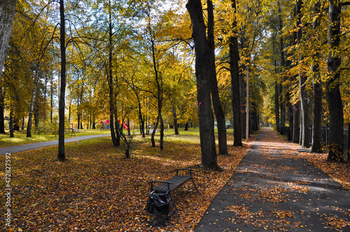 autumn path in the park