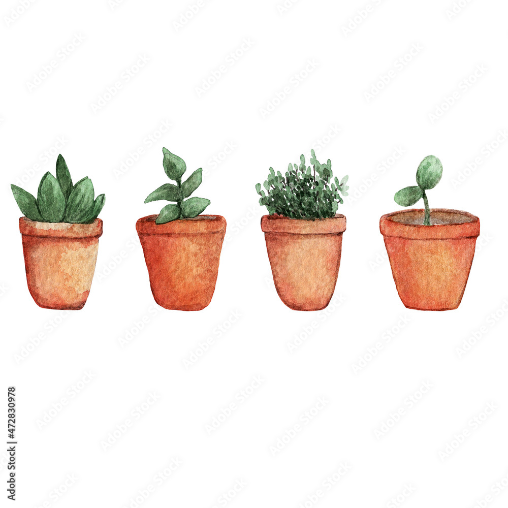 Watercolor hand painted house four green plants in clay pots. Set of floral elements isolated on white. Perfect for print, poster, card making and scrapbooking design