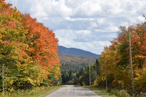 The village road in autumn, Sainte-Apolline, Québec, Canada
