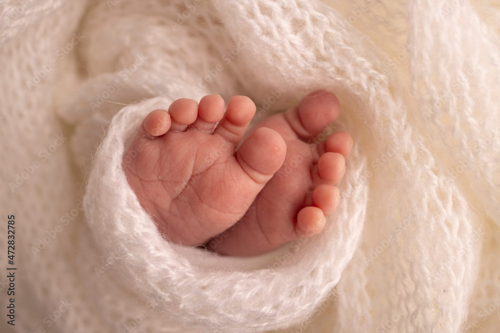 The tiny foot of a newborn. Soft feet of a newborn in a white woolen blanket. Close up of toes, heels and feet of a newborn baby. Studio Macro photography. Woman's happiness. Photography, concept. The tiny foot of a newborn. Soft feet of a newborn in a white woolen blanket. Close up of toes, heels and feet of a newborn baby. Studio Macro photography. Woman's happiness. Photography, concept.