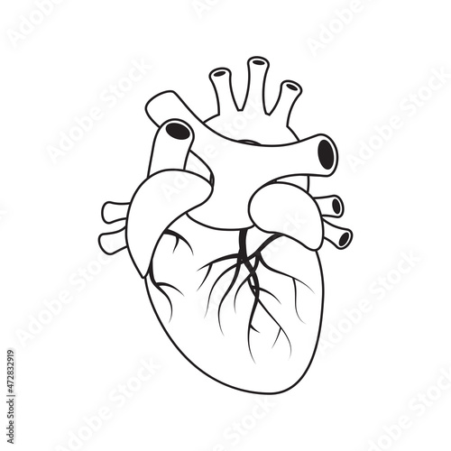 Heart medical concept in flat style, vector