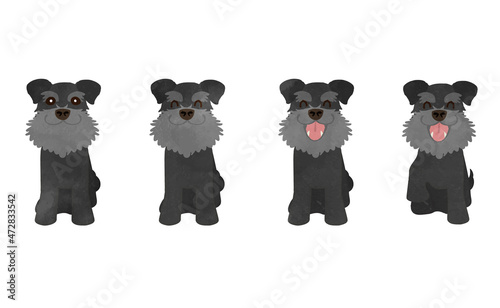 Cute Schnauzer Dog Illustration Set