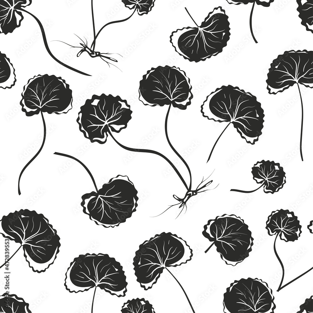 Gotu kola. Seamless pattern. Gotu kola. Seamless pattern.