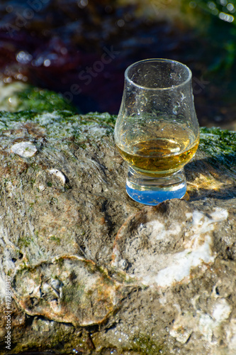 Tasting of single malt or blended Scotch whisky and blue sea with stones and oysters on background, private whisky tours in Scotland, UK